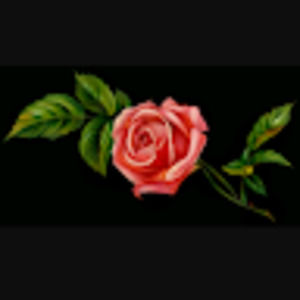 Meet your Posher, Loudly